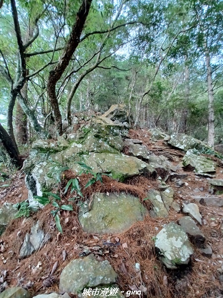 【台中和平】谷關七雄~馬崙山步道