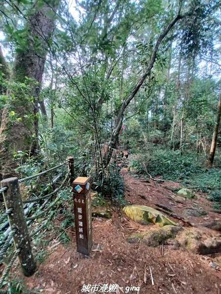 【台中和平】谷關七雄~馬崙山步道