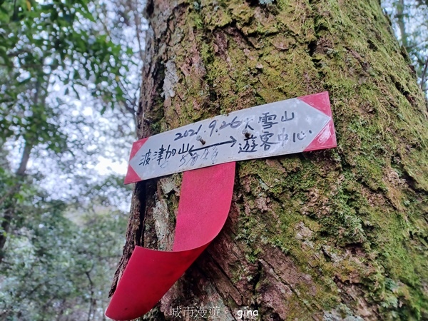 【台中和平】谷關七雄~波津加步道(大雪山線)