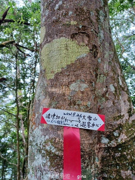 【台中和平】谷關七雄~波津加步道(大雪山線)