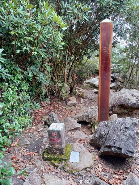 【台中和平】谷關七雄~波津加步道(大雪山線)