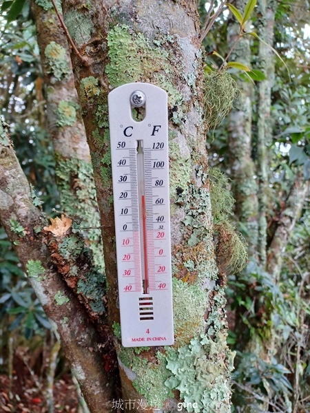 【台中和平】谷關七雄~波津加步道(大雪山線)