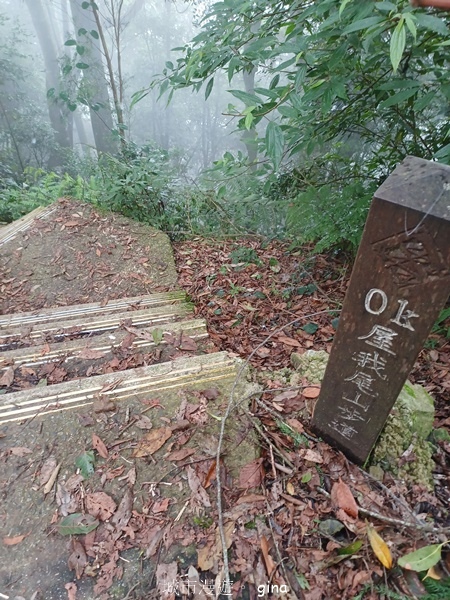【台中和平】霧鎖山林。 谷關七雄~屋我尾山(大雪山線) 【台中和平】霧鎖山林。 谷關七雄~屋我尾山(大雪山線)