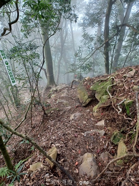 【台中和平】霧鎖山林。 谷關七雄~屋我尾山(大雪山線) 【台中和平】霧鎖山林。 谷關七雄~屋我尾山(大雪山線)