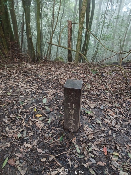 【台中和平】霧鎖山林。 谷關七雄~屋我尾山(大雪山線) 【台中和平】霧鎖山林。 谷關七雄~屋我尾山(大雪山線)