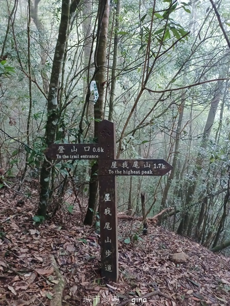 【台中和平】霧鎖山林。 谷關七雄~屋我尾山(大雪山線) 【台中和平】霧鎖山林。 谷關七雄~屋我尾山(大雪山線)