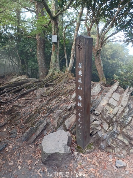 【台中和平】霧鎖山林。 谷關七雄~屋我尾山(大雪山線)