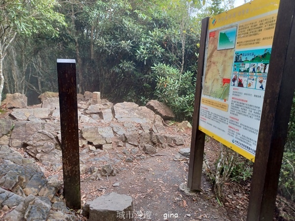 【台中和平】霧鎖山林。 谷關七雄~屋我尾山(大雪山線) 【台中和平】霧鎖山林。 谷關七雄~屋我尾山(大雪山線)
