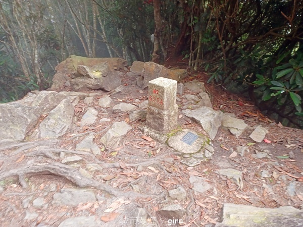 【台中和平】霧鎖山林。 谷關七雄~屋我尾山(大雪山線) 【台中和平】霧鎖山林。 谷關七雄~屋我尾山(大雪山線)