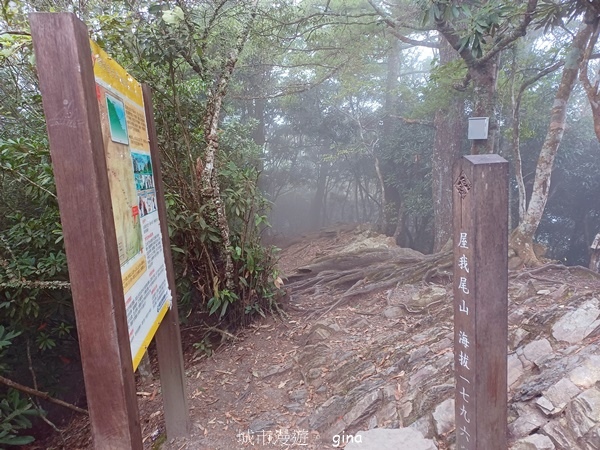【台中和平】霧鎖山林。 谷關七雄~屋我尾山(大雪山線) 【台中和平】霧鎖山林。 谷關七雄~屋我尾山(大雪山線)