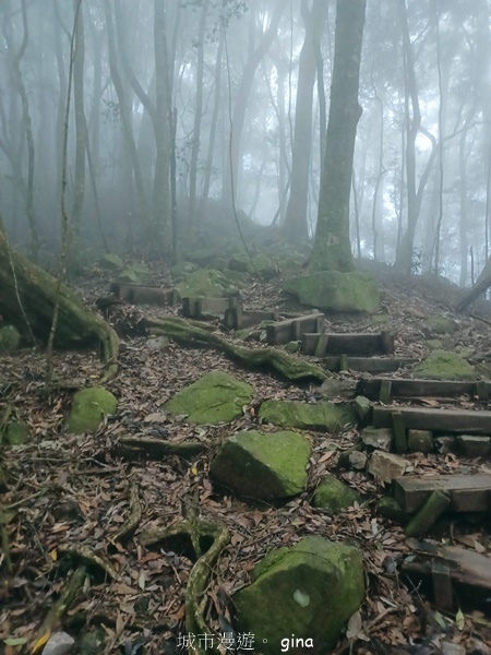 【台中和平】霧鎖山林。 谷關七雄~屋我尾山(大雪山線) 【台中和平】霧鎖山林。 谷關七雄~屋我尾山(大雪山線)