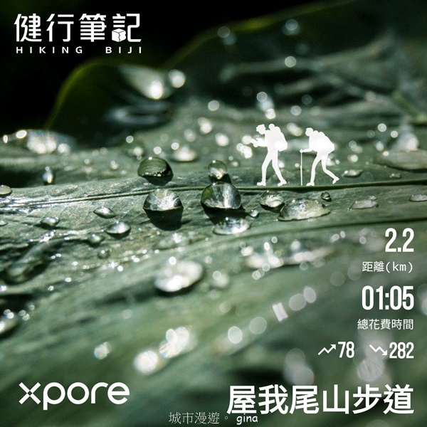 【台中和平】霧鎖山林。 谷關七雄~屋我尾山(大雪山線) 【台中和平】霧鎖山林。 谷關七雄~屋我尾山(大雪山線)