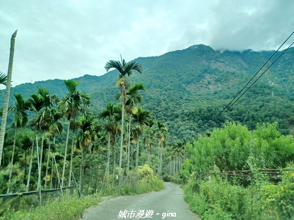 【台中和平】難得悠靜-谷關七雄-唐麻丹山步道