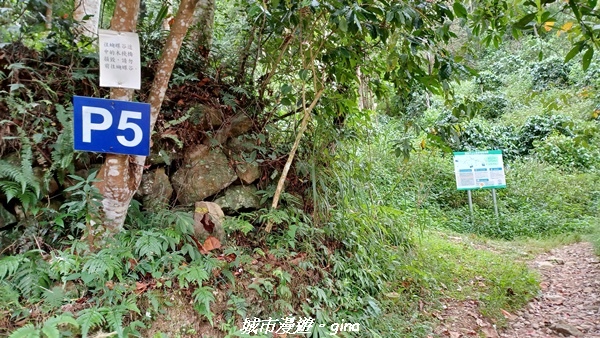 【台中和平】難得悠靜-谷關七雄-唐麻丹山步道