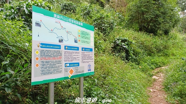 【台中和平】難得悠靜-谷關七雄-唐麻丹山步道