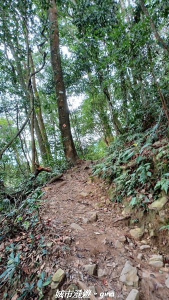 【台中和平】難得悠靜-谷關七雄-唐麻丹山步道