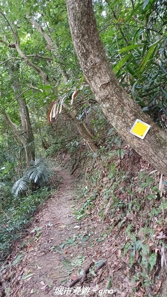 【台中和平】難得悠靜-谷關七雄-唐麻丹山步道