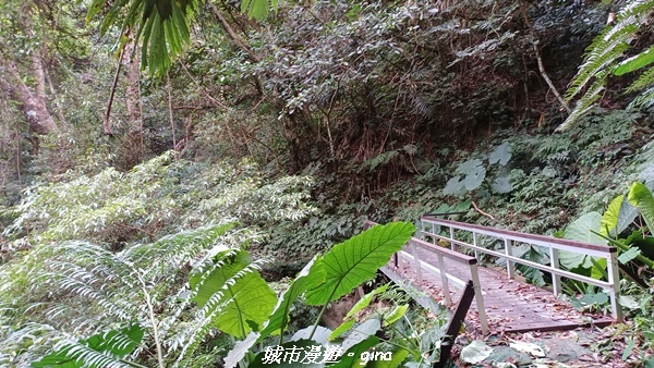 【台中和平】難得悠靜-谷關七雄-唐麻丹山步道