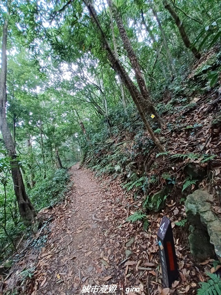 【台中和平】難得悠靜-谷關七雄-唐麻丹山步道