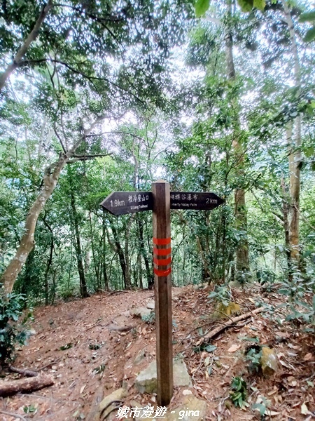 【台中和平】難得悠靜-谷關七雄-唐麻丹山步道