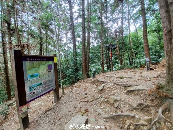 【台中和平】難得悠靜-谷關七雄-唐麻丹山步道