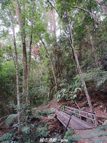 【台中和平】難得悠靜-谷關七雄-唐麻丹山步道