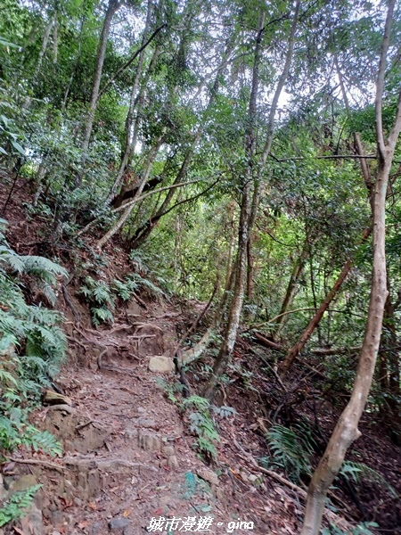 【台中和平】難得悠靜-谷關七雄-唐麻丹山步道