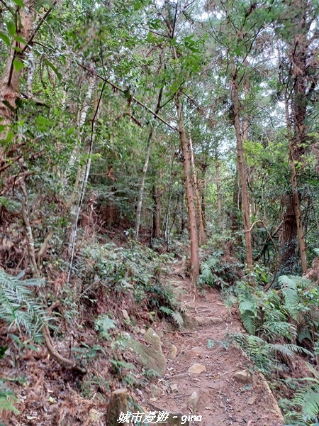 【台中和平】難得悠靜-谷關七雄-唐麻丹山步道