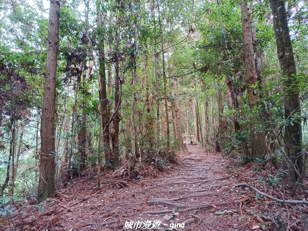 【台中和平】難得悠靜-谷關七雄-唐麻丹山步道