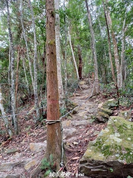 【台中和平】難得悠靜-谷關七雄-唐麻丹山步道