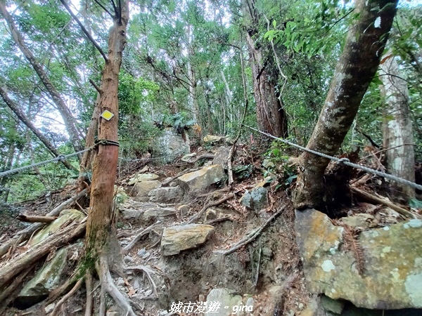 【台中和平】難得悠靜-谷關七雄-唐麻丹山步道