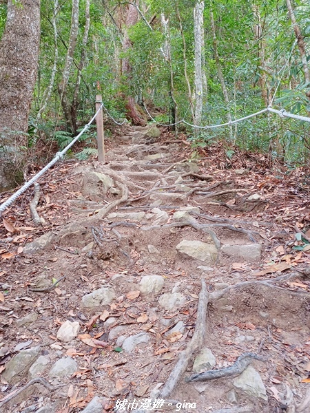 【台中和平】難得悠靜-谷關七雄-唐麻丹山步道