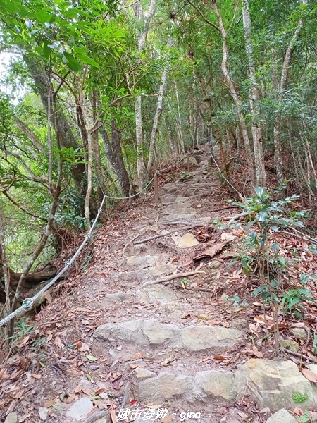 【台中和平】難得悠靜-谷關七雄-唐麻丹山步道