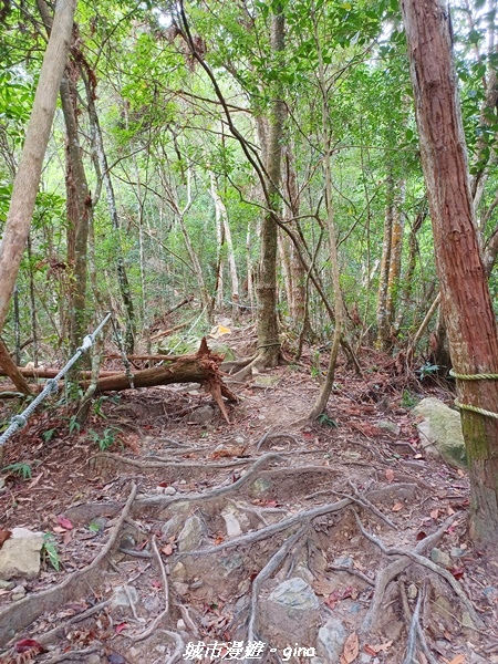 【台中和平】難得悠靜-谷關七雄-唐麻丹山步道
