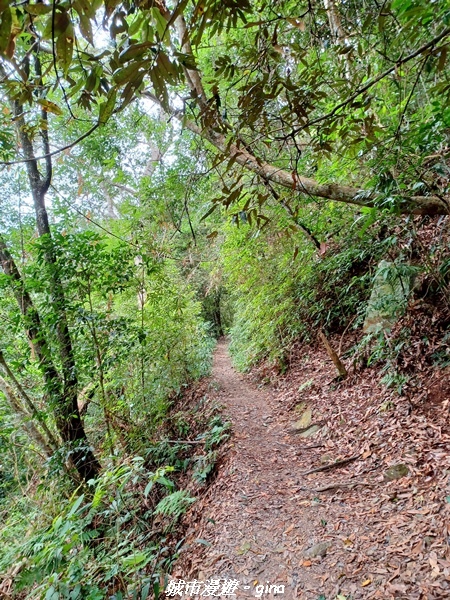 【台中和平】難得悠靜-谷關七雄-唐麻丹山步道