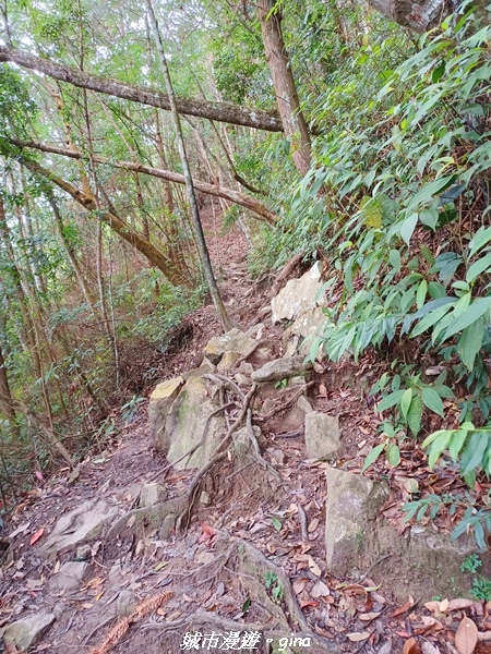 【台中和平】難得悠靜-谷關七雄-唐麻丹山步道