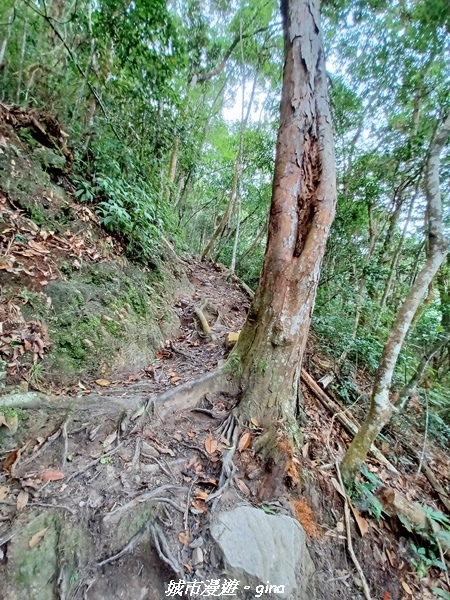 【台中和平】難得悠靜-谷關七雄-唐麻丹山步道