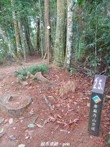 【台中和平】難得悠靜-谷關七雄-唐麻丹山步道