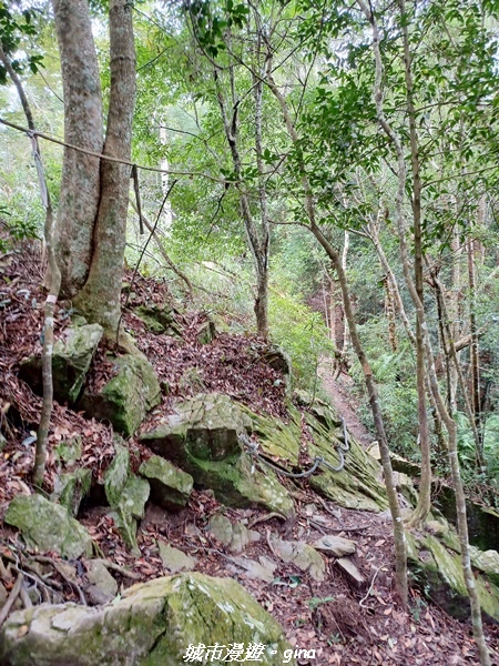 【台中和平】難得悠靜-谷關七雄-唐麻丹山步道