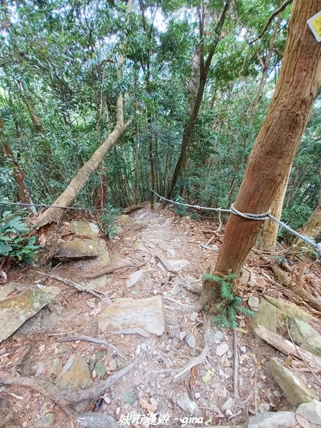 【台中和平】難得悠靜-谷關七雄-唐麻丹山步道