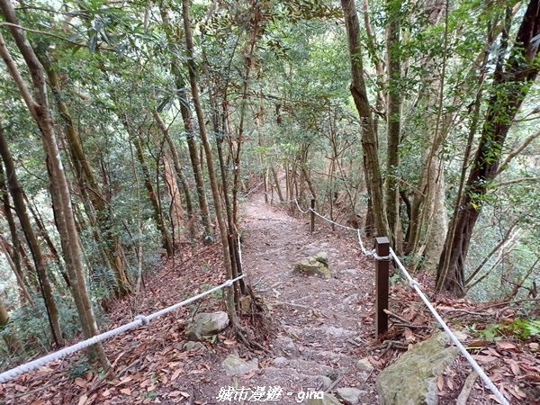 【台中和平】難得悠靜-谷關七雄-唐麻丹山步道