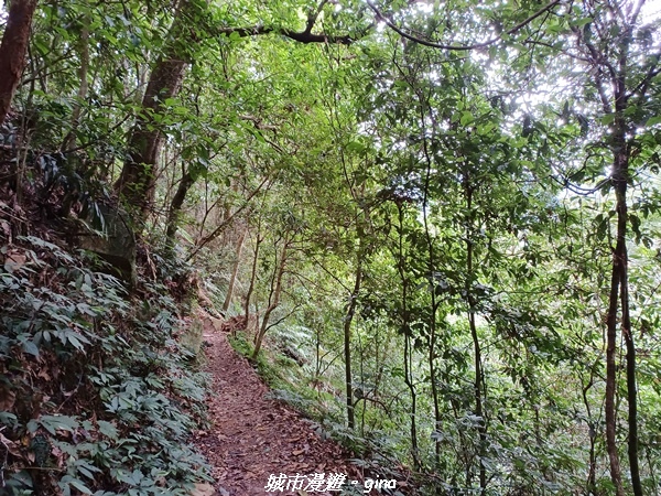 【台中和平】難得悠靜-谷關七雄-唐麻丹山步道
