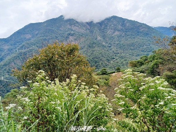 【台中和平】難得悠靜-谷關七雄-唐麻丹山步道