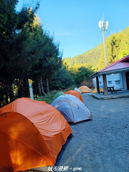 【台中和平】山迢路遠換一回高山好景致。 No75百岳雪山東峰 【台中和平】山迢路遠換一回高山好景致。 No75百岳雪山東峰