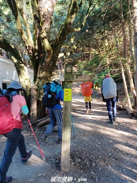 【台中和平】山迢路遠換一回高山好景致。 No75百岳雪山東峰 【台中和平】山迢路遠換一回高山好景致。 No75百岳雪山東峰