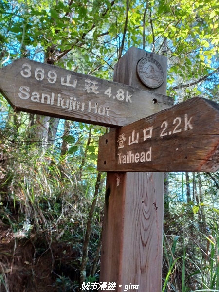 【台中和平】山迢路遠換一回高山好景致。 No75百岳雪山東峰