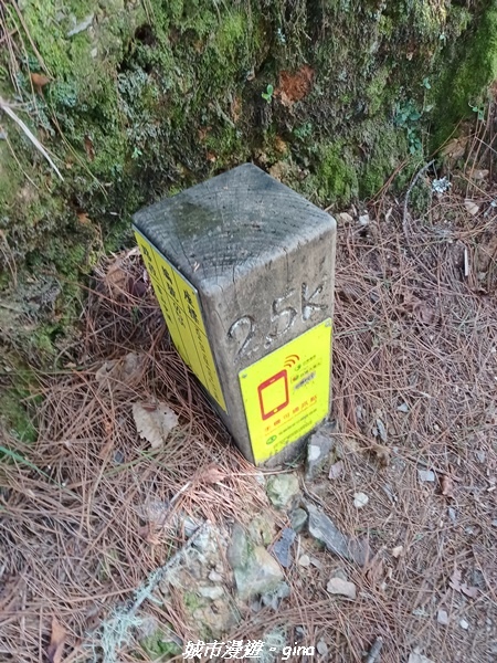 【台中和平】山迢路遠換一回高山好景致。 No75百岳雪山東峰 【台中和平】山迢路遠換一回高山好景致。 No75百岳雪山東峰