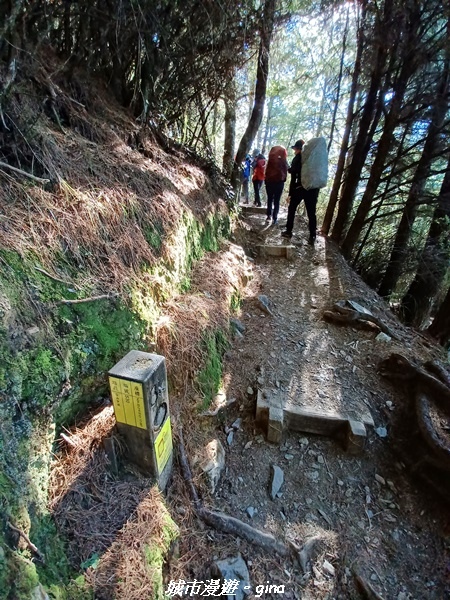 【台中和平】山迢路遠換一回高山好景致。 No75百岳雪山東峰 【台中和平】山迢路遠換一回高山好景致。 No75百岳雪山東峰
