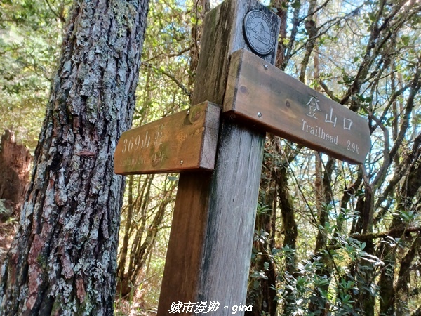 【台中和平】山迢路遠換一回高山好景致。 No75百岳雪山東峰 【台中和平】山迢路遠換一回高山好景致。 No75百岳雪山東峰