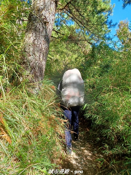 【台中和平】山迢路遠換一回高山好景致。 No75百岳雪山東峰 【台中和平】山迢路遠換一回高山好景致。 No75百岳雪山東峰